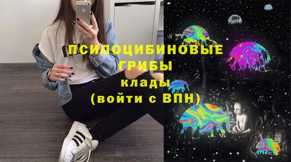 шишки Баксан