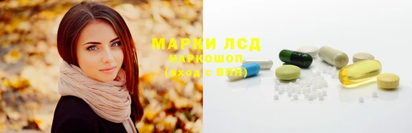 шишки Баксан