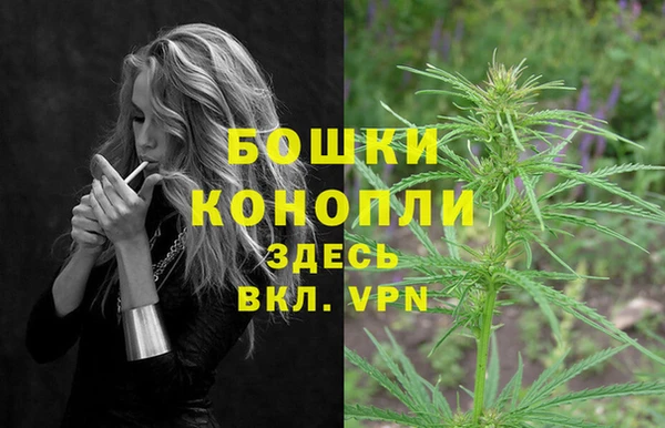 spice Балахна