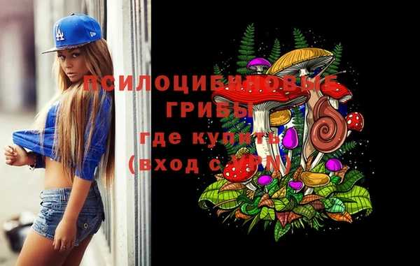шишки Баксан