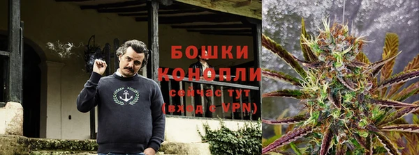шишки Пестово