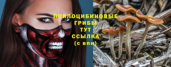 spice Балахна