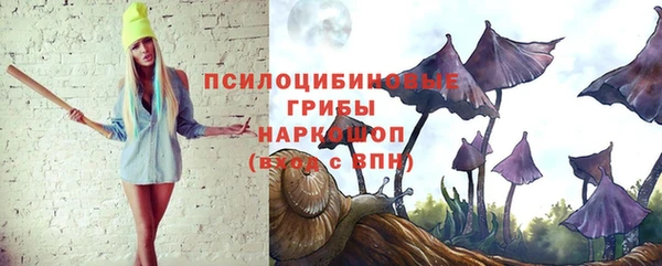 шишки Баксан