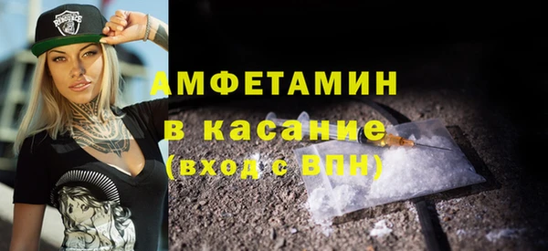 шишки Пестово